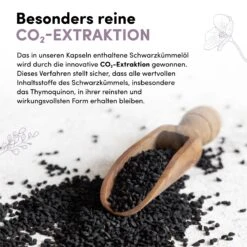 Schwarzkümmelöl Softgelkapseln 7 Schwarzkümmelöl Softgelkapseln -Motorcycle Parts Store SchwarzkuemmeloelSoftgelkapseln listingimages 04 1