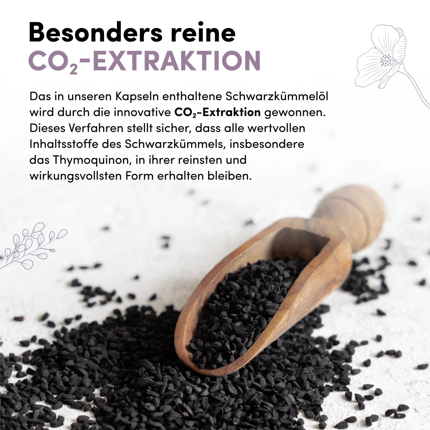 Schwarzkümmelöl Softgelkapseln 3 Schwarzkümmelöl Softgelkapseln - Image 3