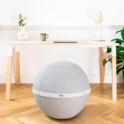 Ballon Ergonomique Pour Bureau -Motorcycle Parts Store ballon ergonomique bureau assis debout elephant 2