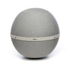 Ballon Ergonomique Pour Bureau -Motorcycle Parts Store ballon ergonomique bureau assis debout elephant