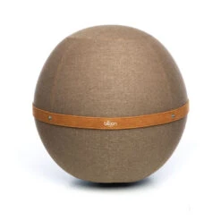 Ballon Ergonomique Pour Bureau