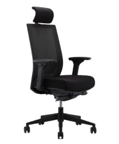 Chaise De Bureau Ergonomique YourChair